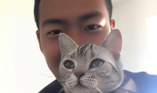 躺式采耳是什么意思