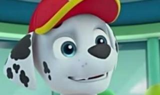 汪汪队立大功片头曲 汪汪队立大功片头曲