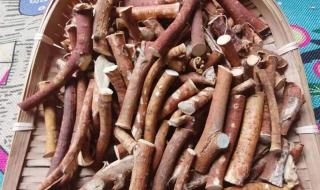 五指毛桃煲汤配什么