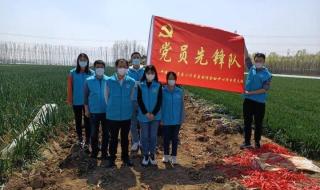 中建八局青岛公司