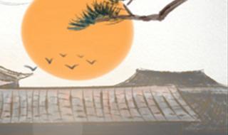 幸运数字13 幸运数字13