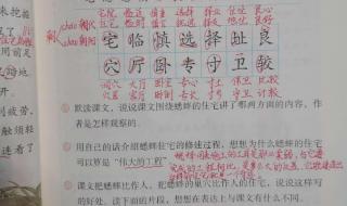 组词四年级上册