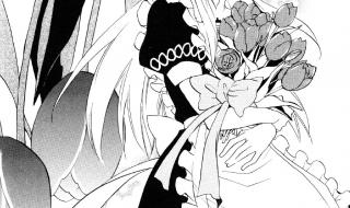 心之国的爱丽丝结局