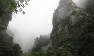 乌镇自由行3天攻略