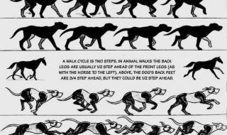 四年级找规律填数字 四年级找规律填数字