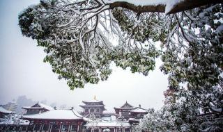 洛阳这些地方下雪了 洛阳这些地方下雪了